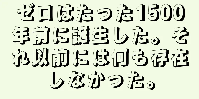 ゼロはたった1500年前に誕生した。それ以前には何も存在しなかった。
