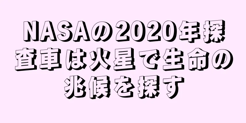 NASAの2020年探査車は火星で生命の兆候を探す