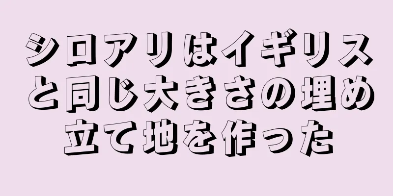 シロアリはイギリスと同じ大きさの埋め立て地を作った