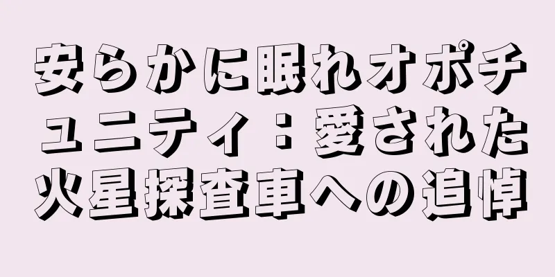 安らかに眠れオポチュニティ：愛された火星探査車への追悼