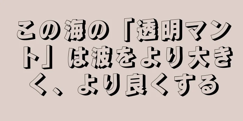 この海の「透明マント」は波をより大きく、より良くする