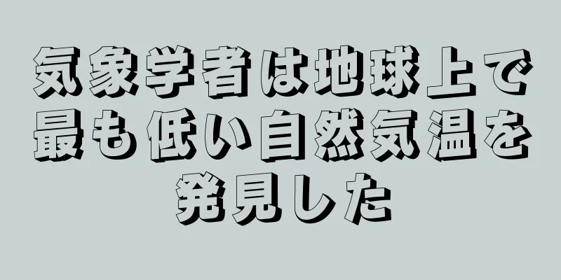 気象学者は地球上で最も低い自然気温を発見した