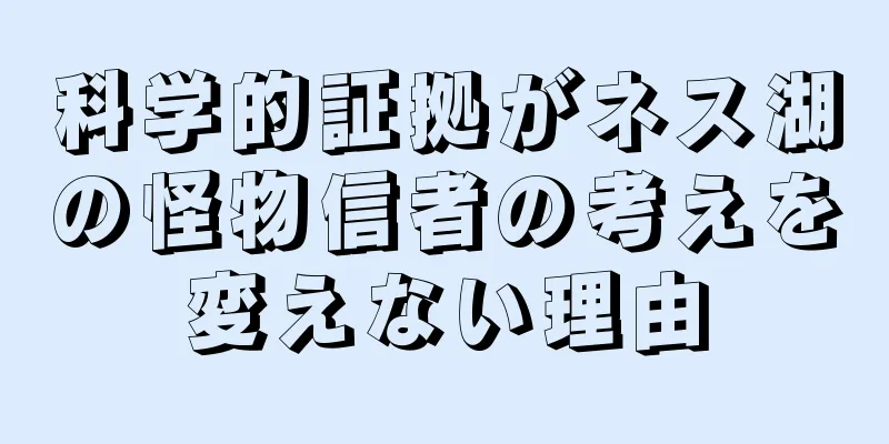 科学的証拠がネス湖の怪物信者の考えを変えない理由