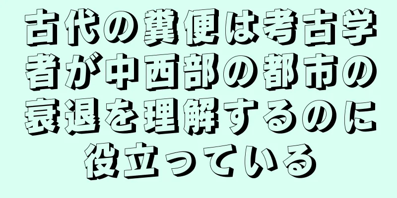 古代の糞便は考古学者が中西部の都市の衰退を理解するのに役立っている
