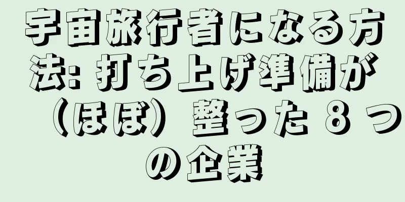 宇宙旅行者になる方法: 打ち上げ準備が（ほぼ）整った 8 つの企業
