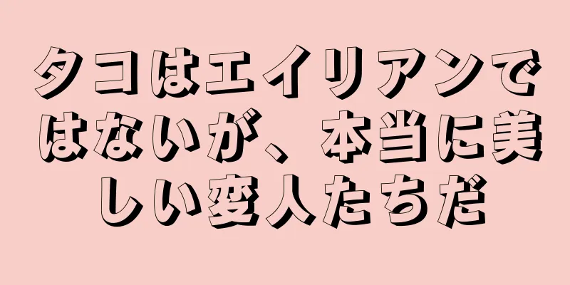 タコはエイリアンではないが、本当に美しい変人たちだ