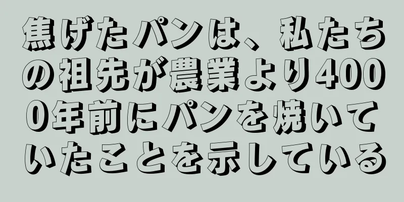 焦げたパンは、私たちの祖先が農業より4000年前にパンを焼いていたことを示している