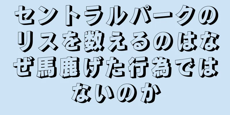 セントラルパークのリスを数えるのはなぜ馬鹿げた行為ではないのか