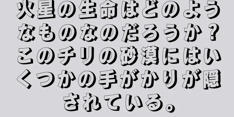 火星の生命はどのようなものなのだろうか？このチリの砂漠にはいくつかの手がかりが隠されている。