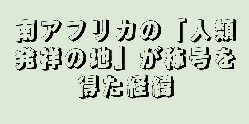 南アフリカの「人類発祥の地」が称号を得た経緯