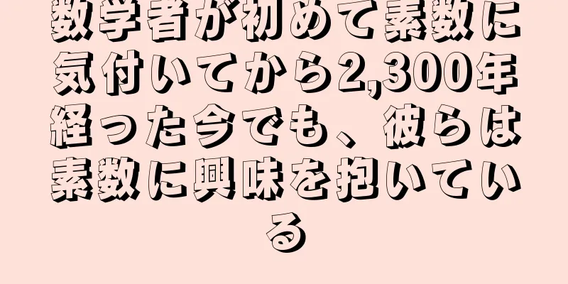 数学者が初めて素数に気付いてから2,300年経った今でも、彼らは素数に興味を抱いている