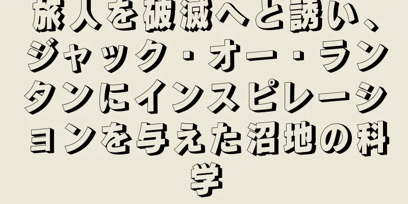 旅人を破滅へと誘い、ジャック・オー・ランタンにインスピレーションを与えた沼地の科学