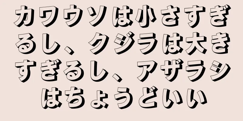 カワウソは小さすぎるし、クジラは大きすぎるし、アザラシはちょうどいい