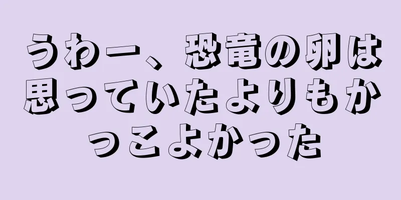 うわー、恐竜の卵は思っていたよりもかっこよかった