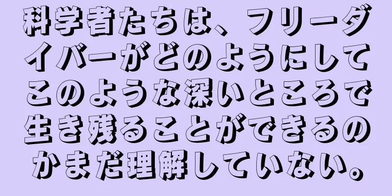 科学者たちは、フリーダイバーがどのようにしてこのような深いところで生き残ることができるのかまだ理解していない。