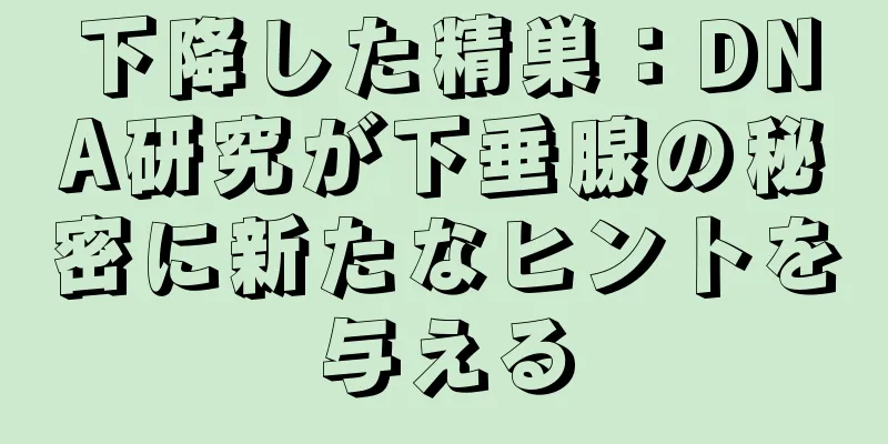 下降した精巣：DNA研究が下垂腺の秘密に新たなヒントを与える
