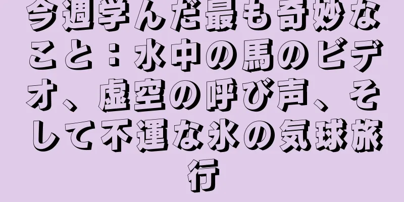 今週学んだ最も奇妙なこと：水中の馬のビデオ、虚空の呼び声、そして不運な氷の気球旅行