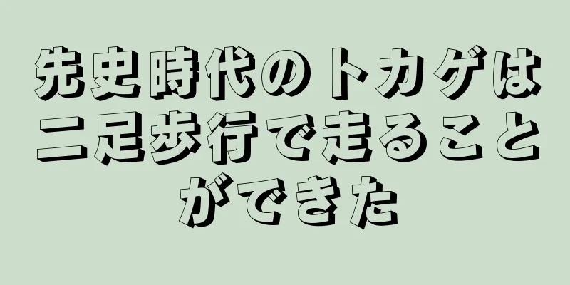 先史時代のトカゲは二足歩行で走ることができた