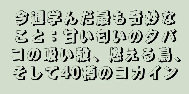 今週学んだ最も奇妙なこと：甘い匂いのタバコの吸い殻、燃える鳥、そして40樽のコカイン