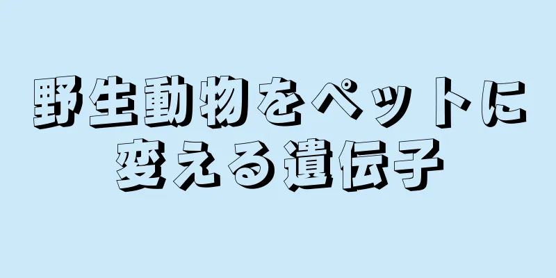 野生動物をペットに変える遺伝子