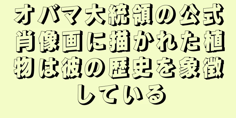 オバマ大統領の公式肖像画に描かれた植物は彼の歴史を象徴している