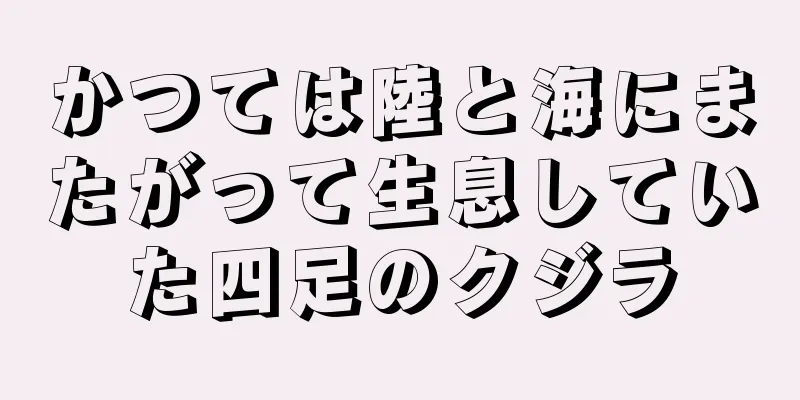 かつては陸と海にまたがって生息していた四足のクジラ