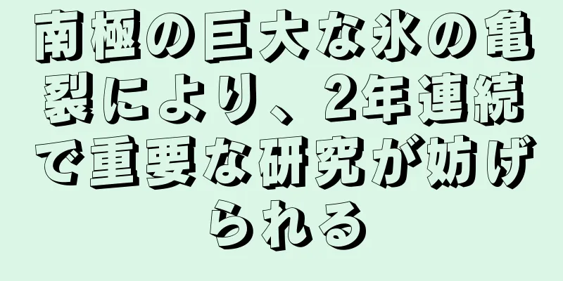 南極の巨大な氷の亀裂により、2年連続で重要な研究が妨げられる