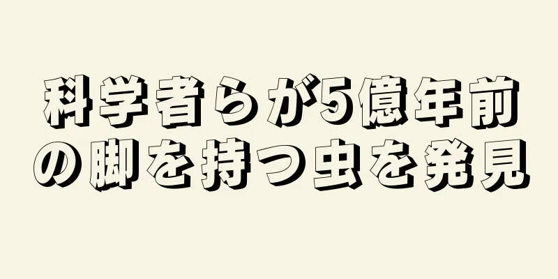 科学者らが5億年前の脚を持つ虫を発見