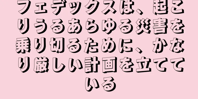 フェデックスは、起こりうるあらゆる災害を乗り切るために、かなり厳しい計画を立てている