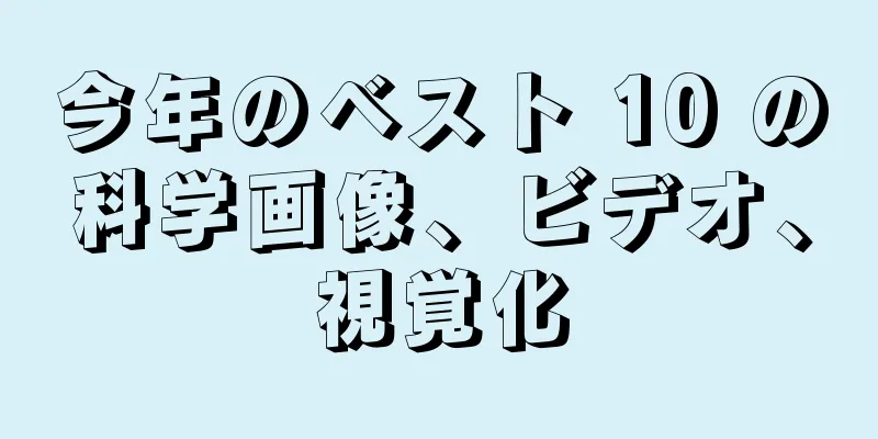 今年のベスト 10 の科学画像、ビデオ、視覚化