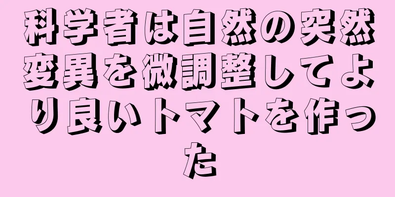 科学者は自然の突然変異を微調整してより良いトマトを作った