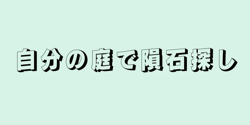 自分の庭で隕石探し