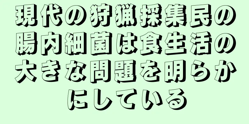 現代の狩猟採集民の腸内細菌は食生活の大きな問題を明らかにしている