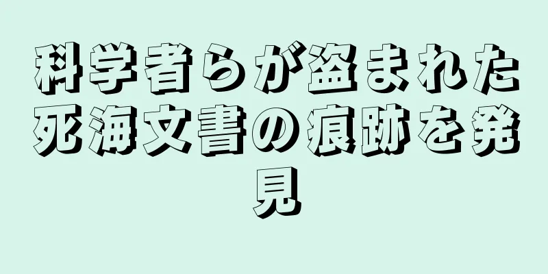 科学者らが盗まれた死海文書の痕跡を発見