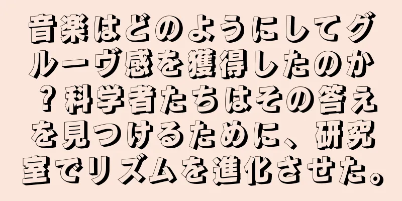 音楽はどのようにしてグルーヴ感を獲得したのか？科学者たちはその答えを見つけるために、研究室でリズムを進化させた。