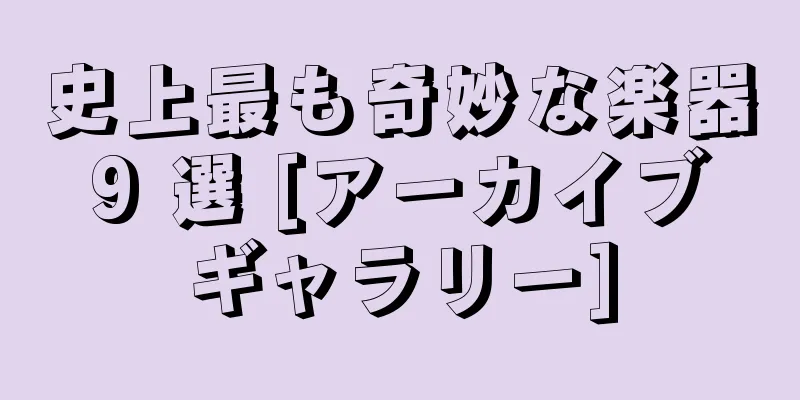 史上最も奇妙な楽器 9 選 [アーカイブ ギャラリー]
