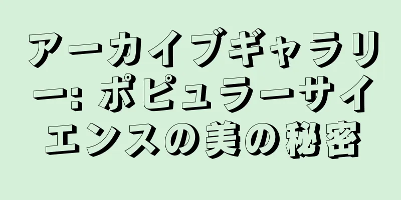 アーカイブギャラリー: ポピュラーサイエンスの美の秘密