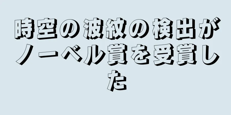 時空の波紋の検出がノーベル賞を受賞した