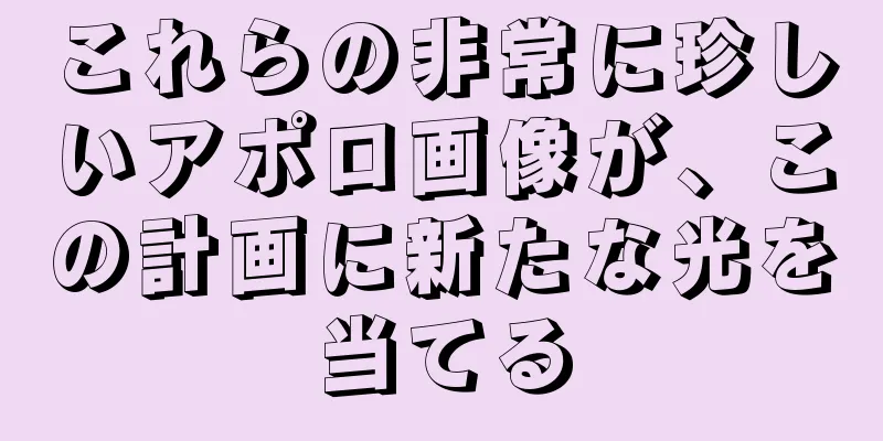 これらの非常に珍しいアポロ画像が、この計画に新たな光を当てる