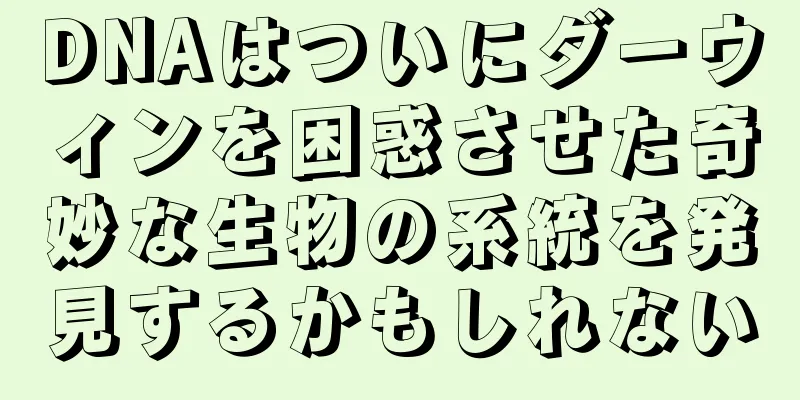 DNAはついにダーウィンを困惑させた奇妙な生物の系統を発見するかもしれない