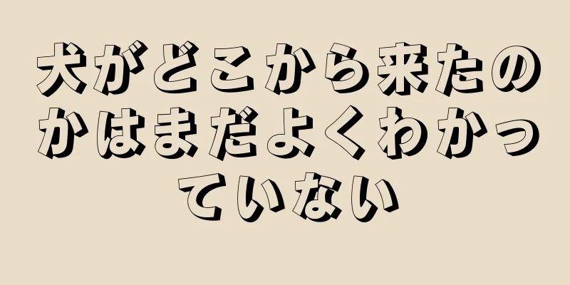 犬がどこから来たのかはまだよくわかっていない