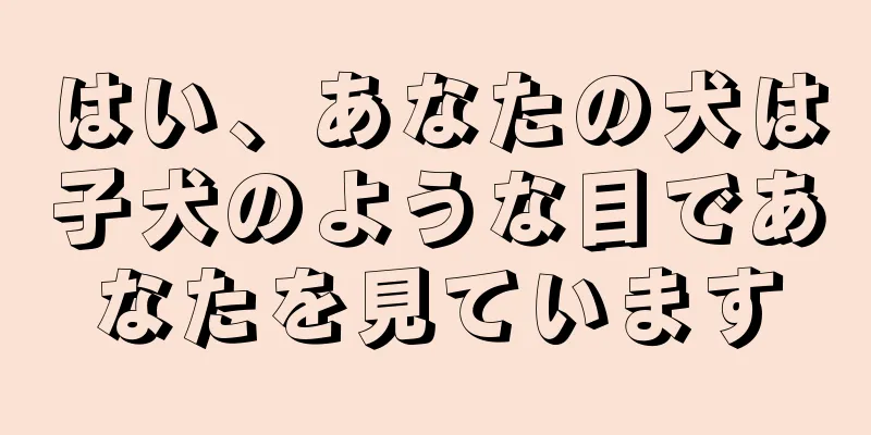 はい、あなたの犬は子犬のような目であなたを見ています