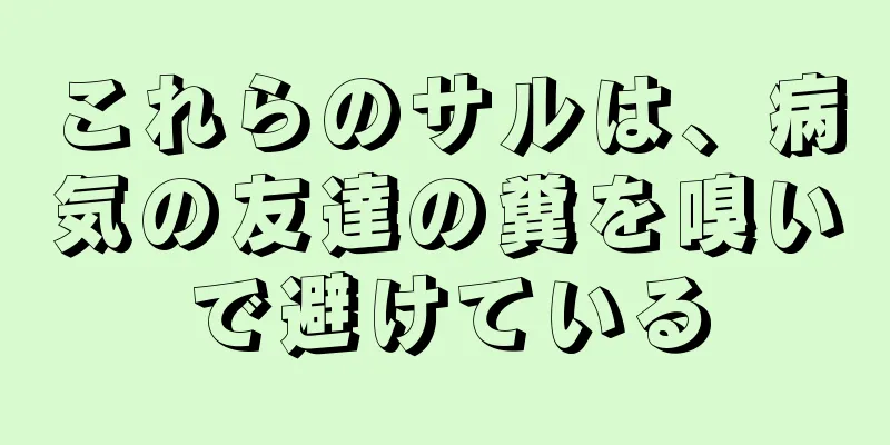 これらのサルは、病気の友達の糞を嗅いで避けている