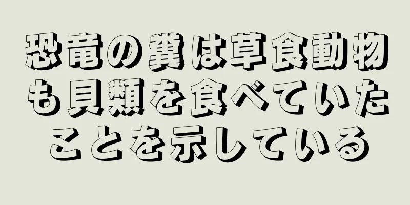恐竜の糞は草食動物も貝類を食べていたことを示している