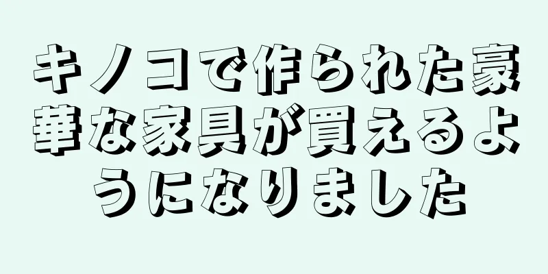キノコで作られた豪華な家具が買えるようになりました