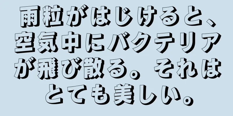 雨粒がはじけると、空気中にバクテリアが飛び散る。それはとても美しい。
