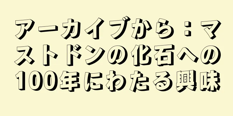 アーカイブから：マストドンの化石への100年にわたる興味