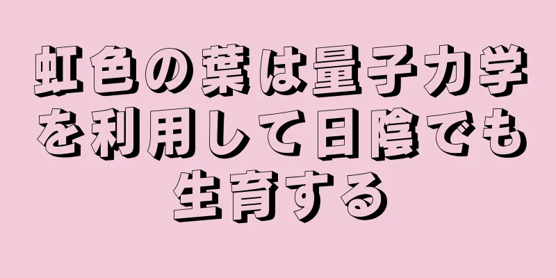虹色の葉は量子力学を利用して日陰でも生育する