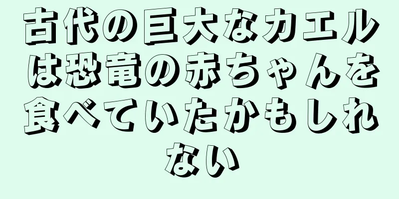 古代の巨大なカエルは恐竜の赤ちゃんを食べていたかもしれない
