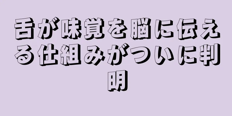 舌が味覚を脳に伝える仕組みがついに判明